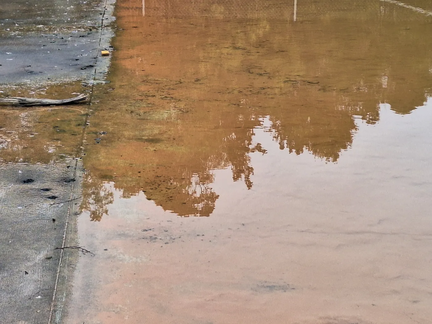 Sediment-laden basin water and the basin edge during field assessment