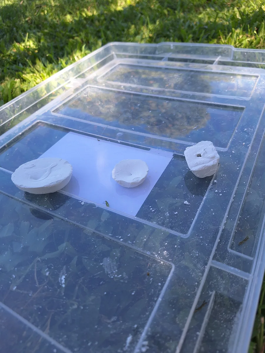 Solid treatment block samples of different shapes displayed on a clear surface