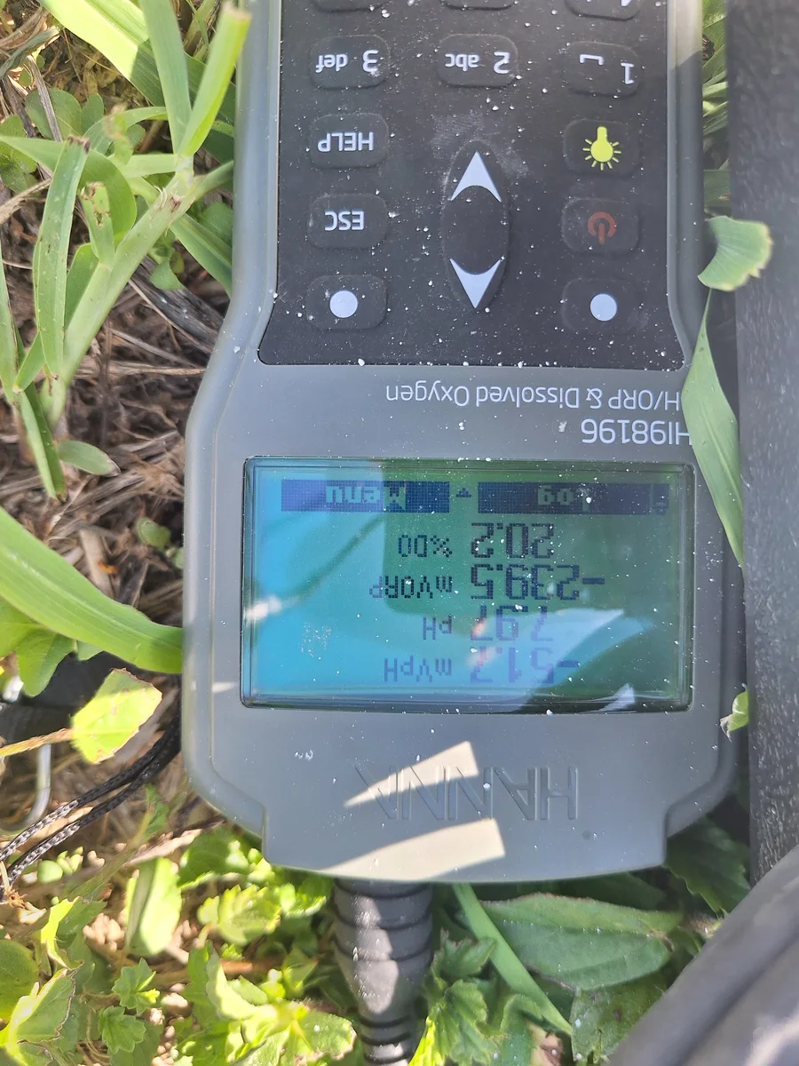 Field meter displaying pH, ORP and dissolved-oxygen measurements